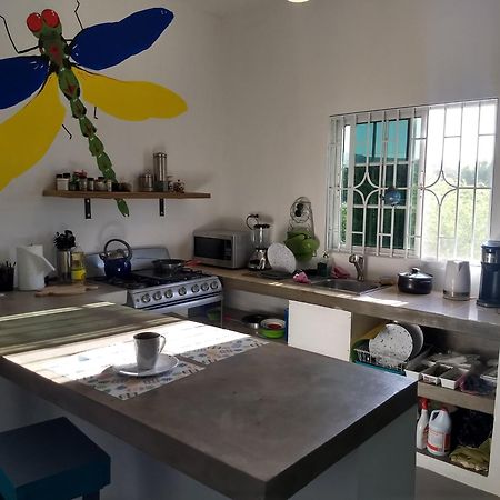 Dragonfly Hotel Трежър Бийч Екстериор снимка